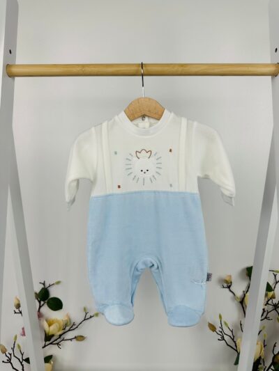 Гащеризон „Слънчево мече“